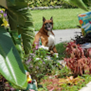 Meet your Posher, Arlene